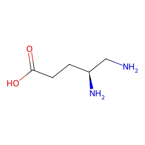 (4S)-4,5-Diaminopentanoic acid structure