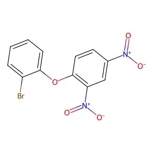 1-(2-Bromophenoxy)-2,4-dinitrobenzene structure