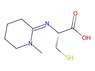 N-(1-Methyl-2-piperidinylidene)-L-cysteine structure