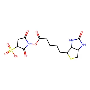 Biotinyl-N-hydroxysulfosuccinimide ester structure