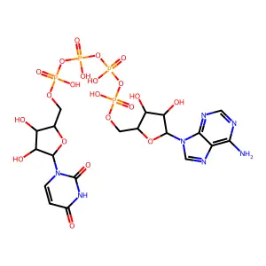 Adenosine(5')tetraphosphate uridine structure