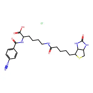 4-Diazobenzoyl biocytin structure