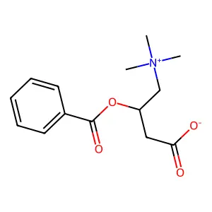 Benzoylcarnitine structure