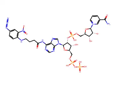 N-4-azido-2-nitrophenyl aminobutyryl NADP structure