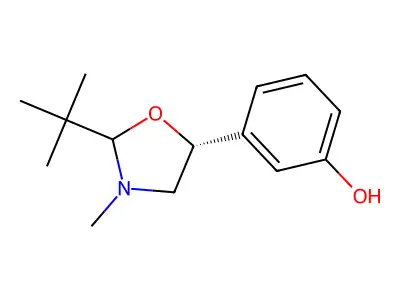 3-(2-Tert-butyl-3-methyl-1,3-oxazolidin-5-yl)phenol structure