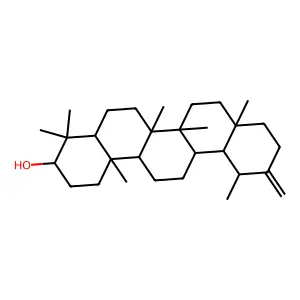 Taraxasterol structure