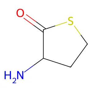Homocysteine thiolactone, DL- structure