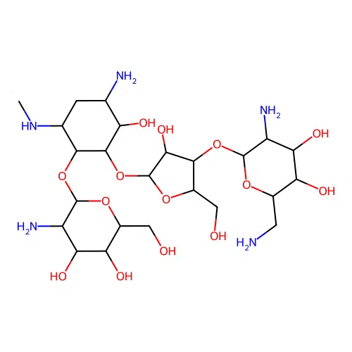 3-N-Methylparomomycin I structure