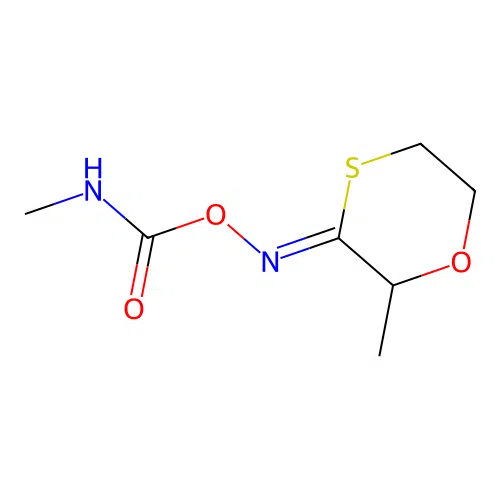 1,4-Oxathian-3-one, 2-methyl-, O-((methylamino)carbonyl)oxime, syn- structure