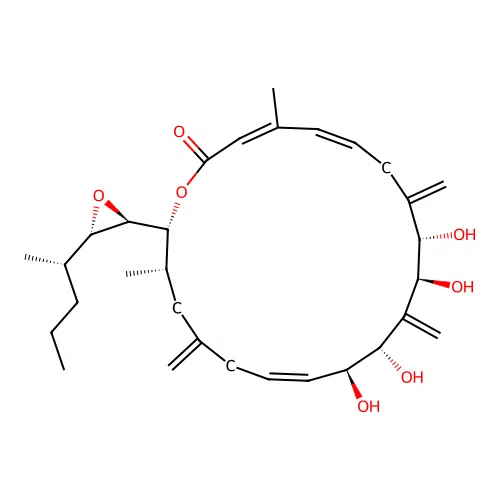 Amphidinolide A structure