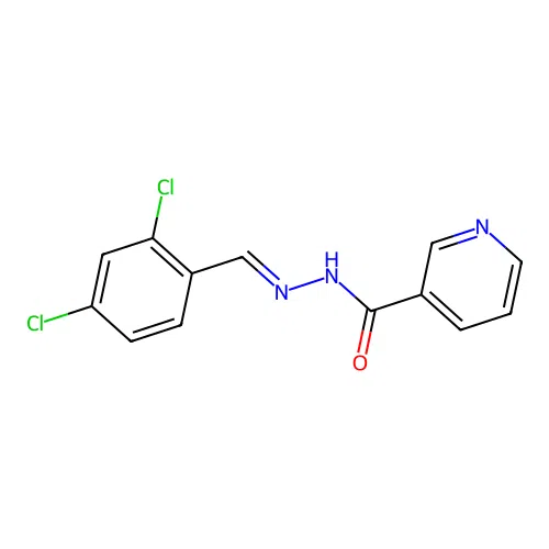 N-[(E)-(2,4-dichlorophenyl)methylideneamino]pyridine-3-carboxamide structure
