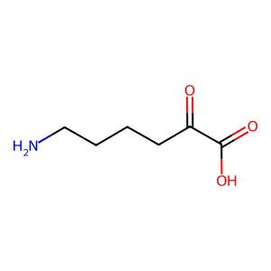 6-Amino-2-oxohexanoic acid structure