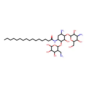 1-N-Palmitoylkanamycin A structure