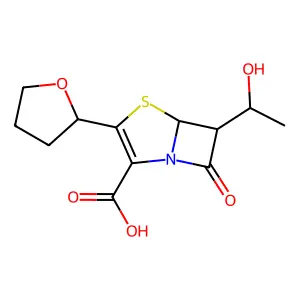 faropenem structure