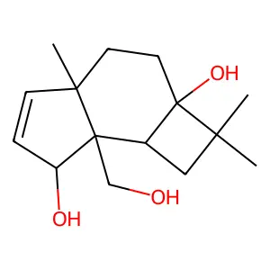 Punctaporonin F structure