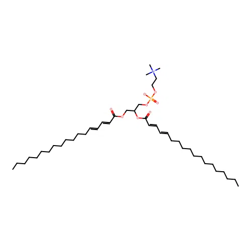 J1.211.944E structure