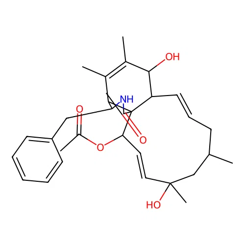 Cytochalasin Npho structure