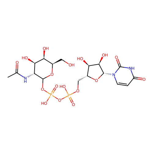 UDP-N-acetyl-D-galactosamine structure