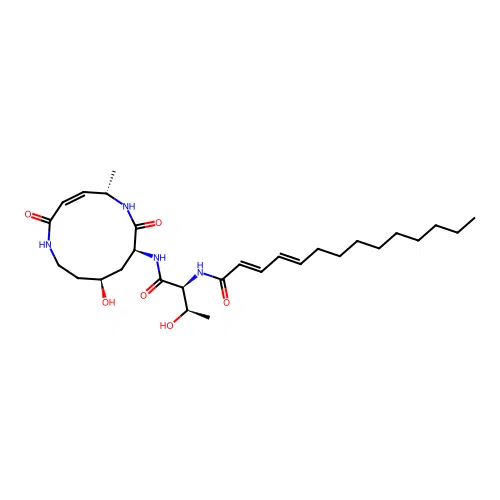 Glidobactin C structure