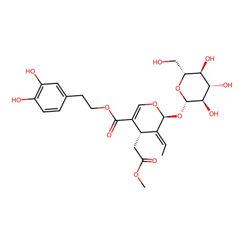 Isooleuropein structure