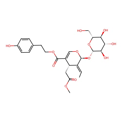 Isoligustroside structure