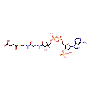 Succinyl coenzyme A sodium salt structure