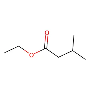 Ethyl isovalerate structure