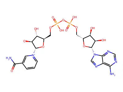 Nicotinamide arabinoside adenine dinucleotide structure
