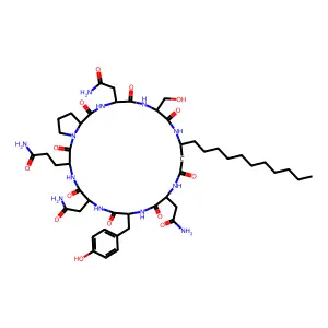 Iturin D structure