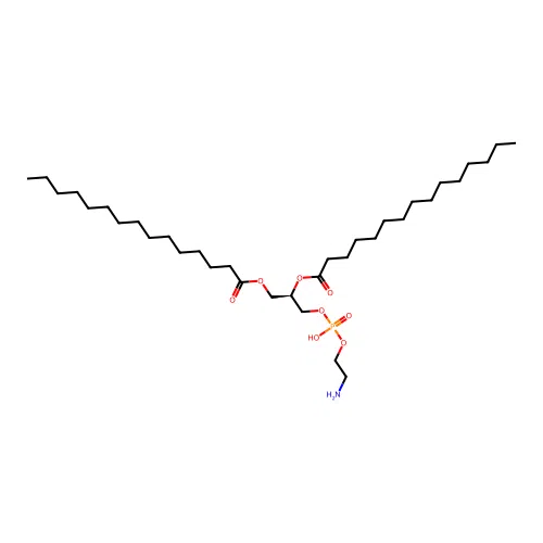 PE(15:0/15:0) structure
