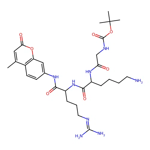 Boc-GKR-AMC structure