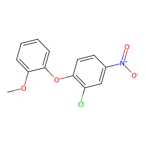 2-Chloro-1-(2-methoxyphenoxy)-4-nitrobenzene structure