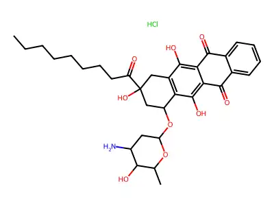DATNN structure