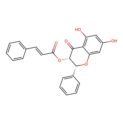Pinobaksin-3-cinnamate structure