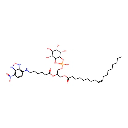C6-Nbd-PI structure