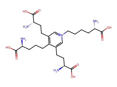 DESMOSINE structure