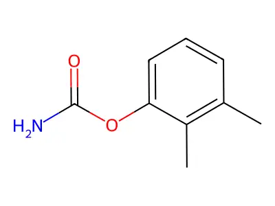 Carbamic acid, 2,3-xylyl ester structure