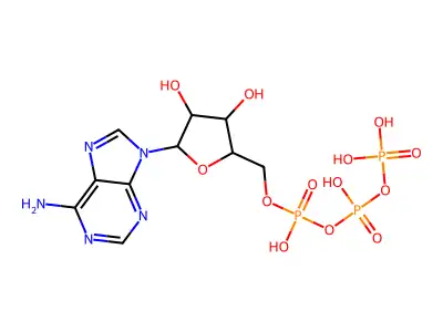 Phycoerythrin structure