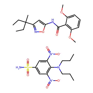 Snapshot DF structure