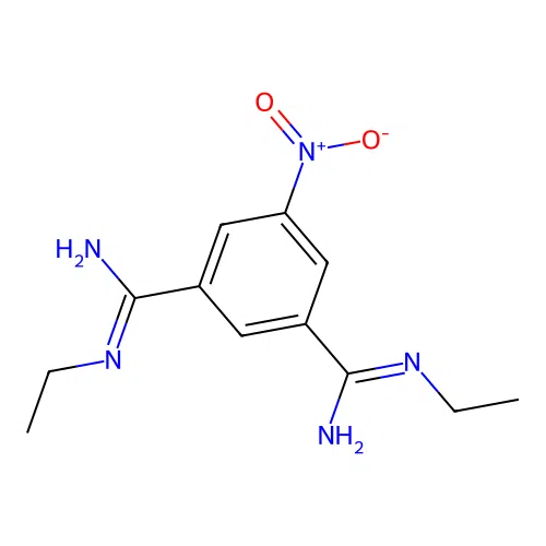N~1~,N~3~-diethyl-5-nitrobenzene-1,3-dicarboximidamide structure