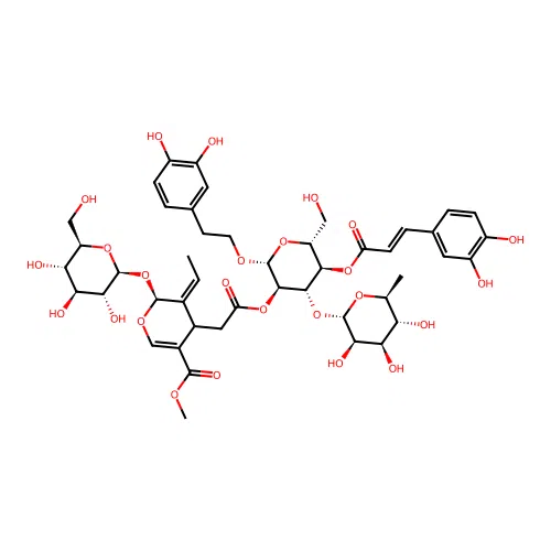Oleoacteoside structure