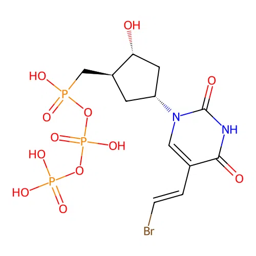 Carbocyclic 5-(2-bromovinyl)-2'-deoxyuridine 5'-triphosphate structure