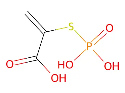 Bacteriochlorin a structure