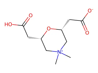 2,6-Bis(carboxymethyl)-4,4-dimethylmorpholinium structure