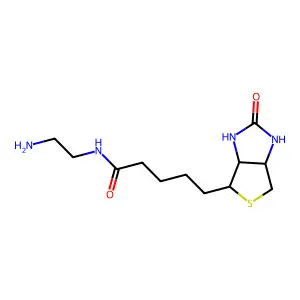 Biotinylamidoethylacetamide structure