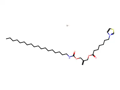 Mocoht structure