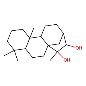 1H-2,10a-Ethanophenanthrene-11,12-diol, dodecahydro-4b,8,8,12-tetramethyl- structure