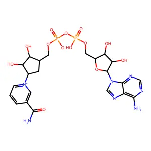 Carbanicotinamide adenine dinucleotide structure