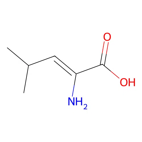 Dehydroleucine structure