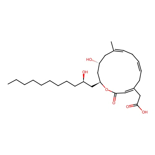 Aerocavin structure